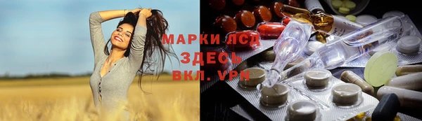 прущие грибы Новокубанск