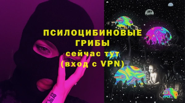 молекула духа Нея