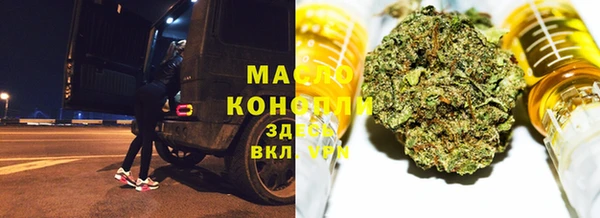 прущие грибы Новокубанск