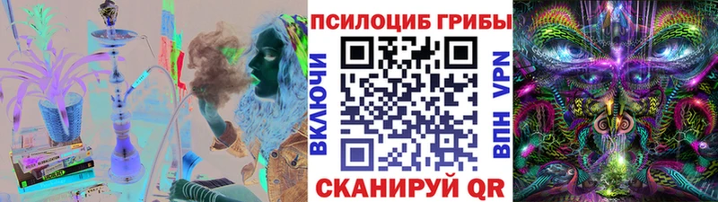 Псилоцибиновые грибы MAGIC MUSHROOMS  мега ссылки  Омск  где можно купить  