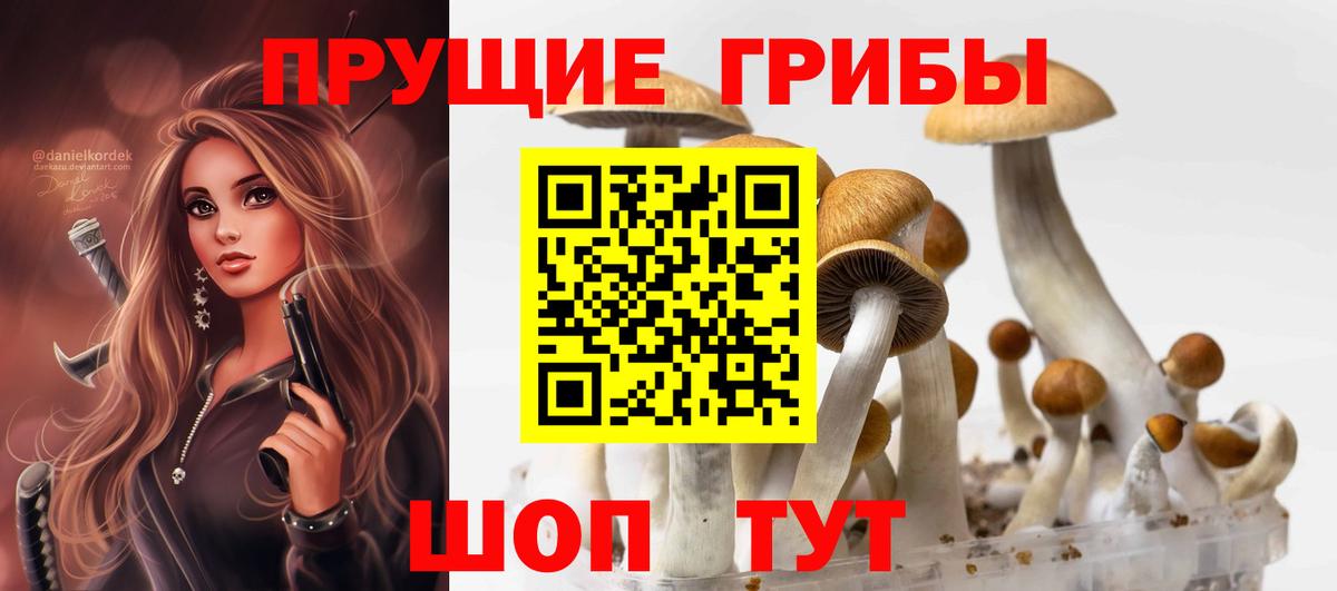 Омск  Псилоцибиновые грибы мухоморы  Псилоцибиновые грибы мицелий  Вход с VPN 