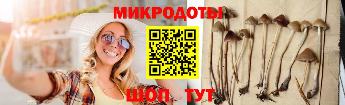 купить наркотик  Омск  Псилоцибиновые грибы прущие грибы 