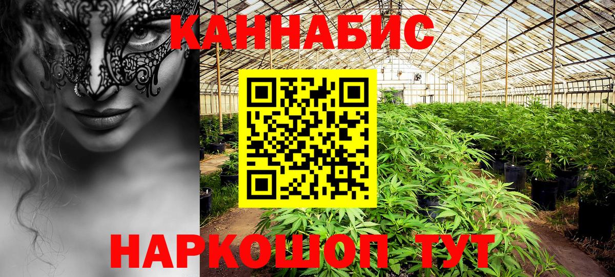 Омск  Конопля планчик  Бошки марихуана THC 21%  Бошки марихуана марихуана  Вход с VPN 